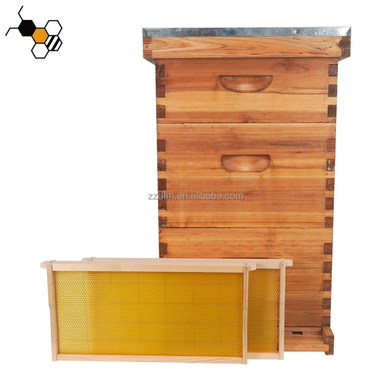 Beehive Frame Wax - Hochwertiges 30-Rahmen-Bienenstock-Set mit Mehrfach-Wachsbeschichtung, Holz, 3-lagig,