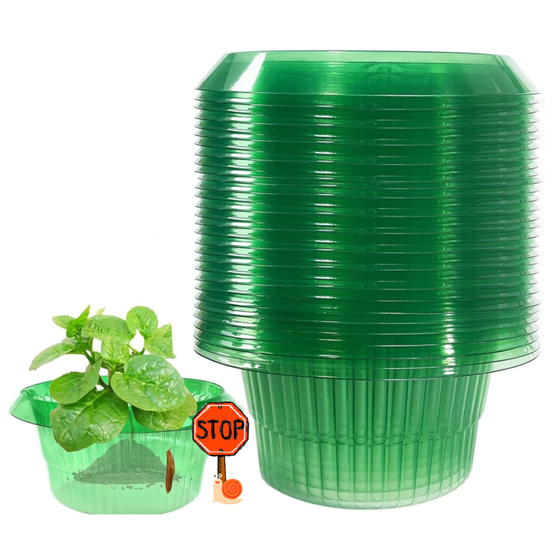 Vegetable Transplanter - 5-25Pcs Pflanzen Slug Schutz Ringe Grün