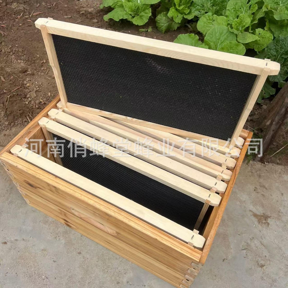 Beehive Frame Wax - Imkerei-Werkzeuge: Erstklassige, sturzfreie Kunststoff-Nestbasis, Kiefernholz-Nestrahmen, italienischer