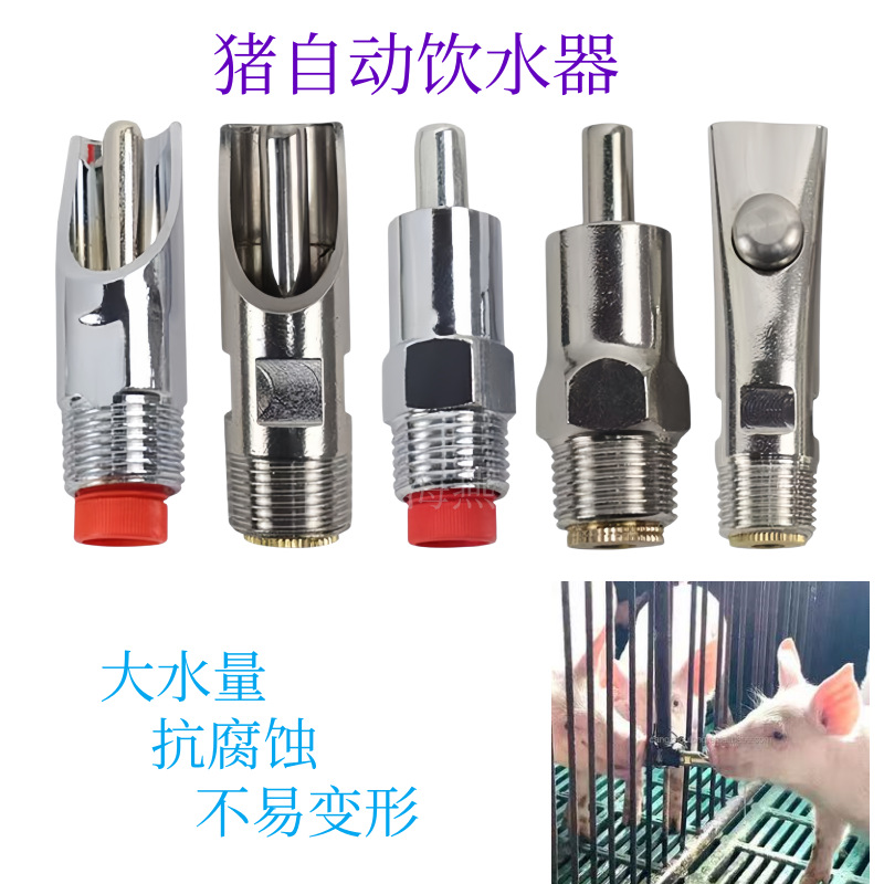 Chicken Nipple Drinker - 10 Stück Hochwertige Edelstahl Automatische Schweinenippel-Tränken