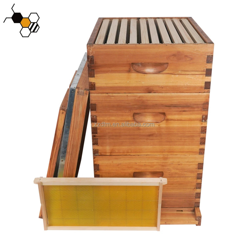 Hochwertiges 30-Rahmen-Bienens – Beehive Frame Wax Bewertung und Preis