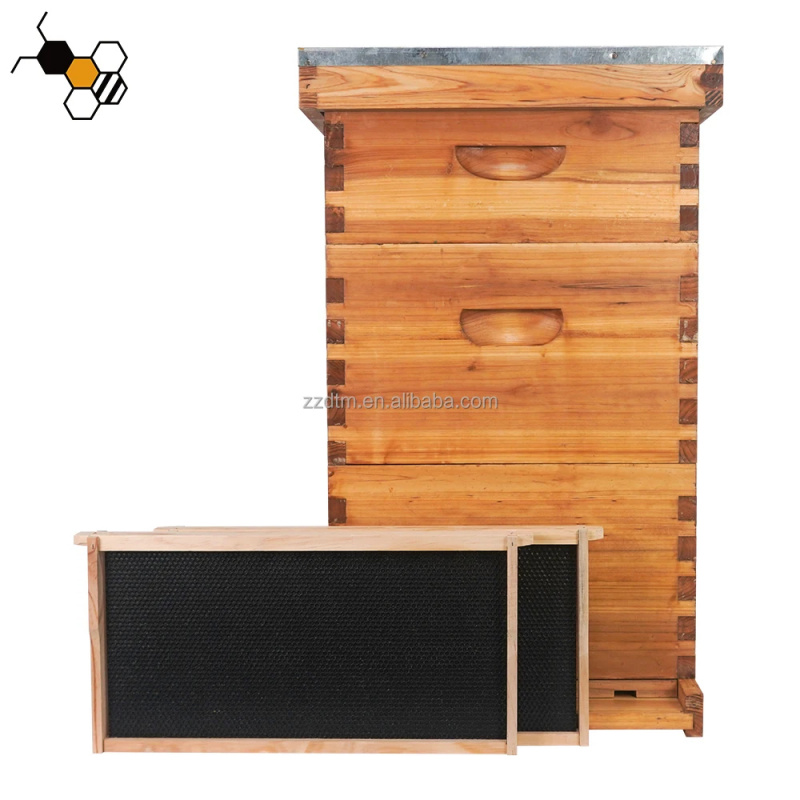 Hochwertiges 30-Rahmen-Bienens – Beehive Frame Wax Bewertung und Preis