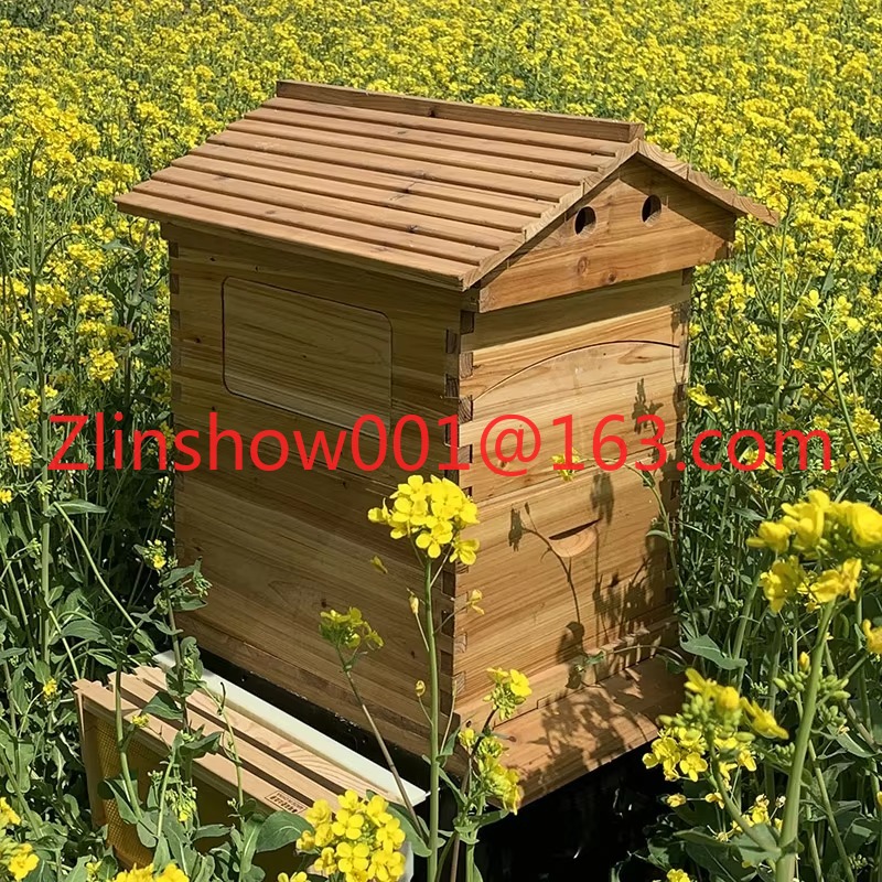 Automatischer Bienenstock zum  – Beehive Frame Wax Bewertung und Preis