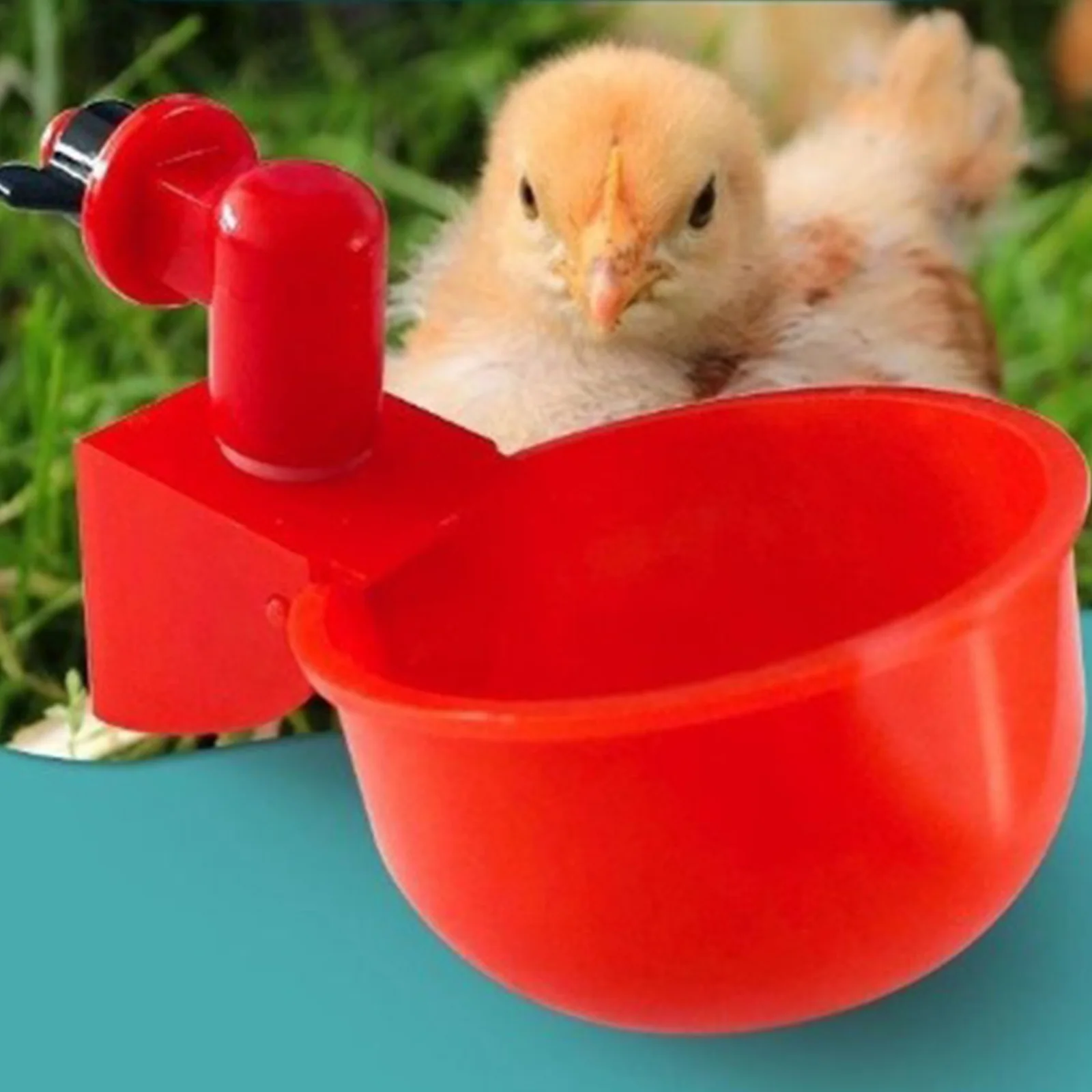 6-36Pcs Huhn Ente Trinkbecher  – Chicken Nipple Drinker Bewertung und Preis