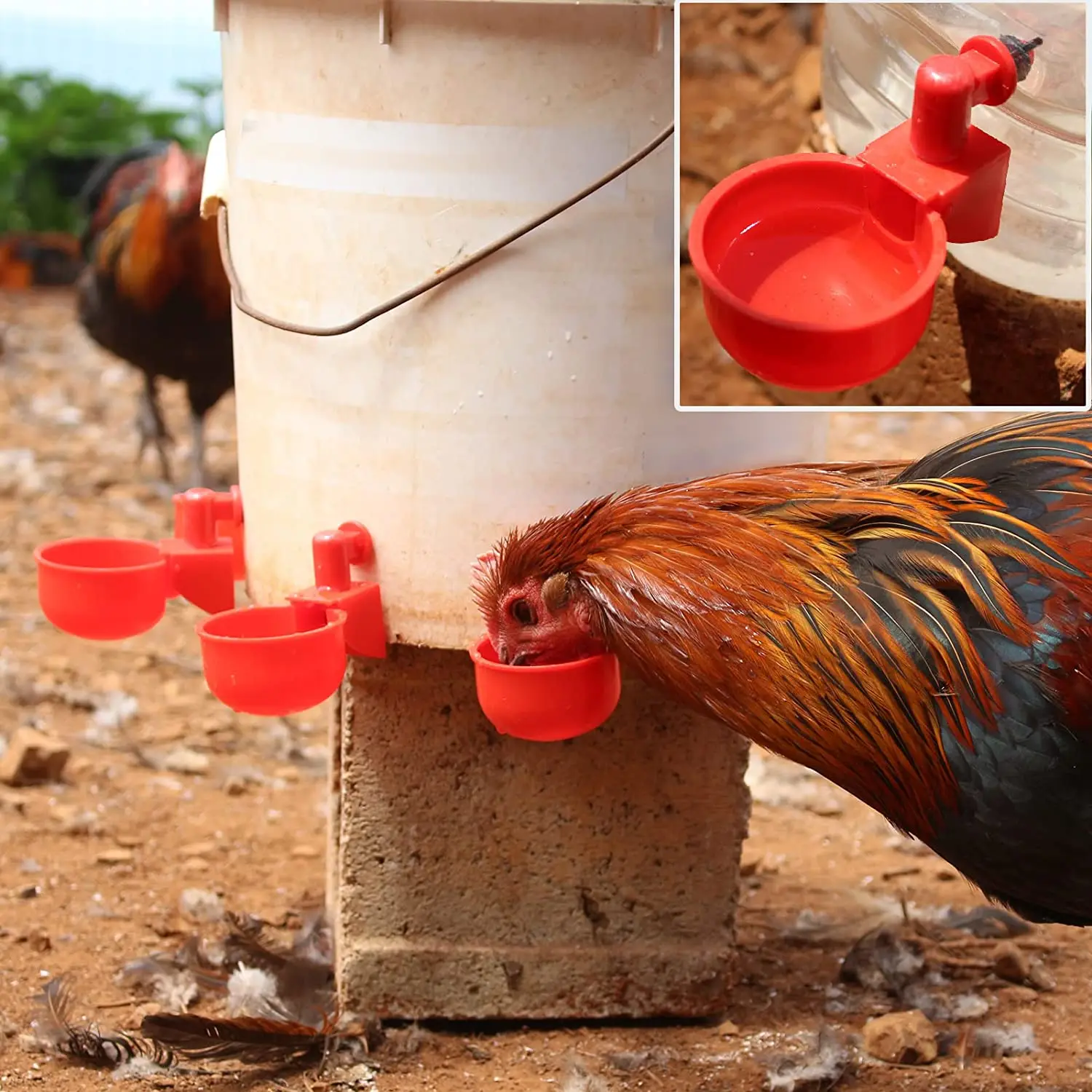 6-36Pcs Huhn Ente Trinkbecher  – Chicken Nipple Drinker Bewertung und Preis