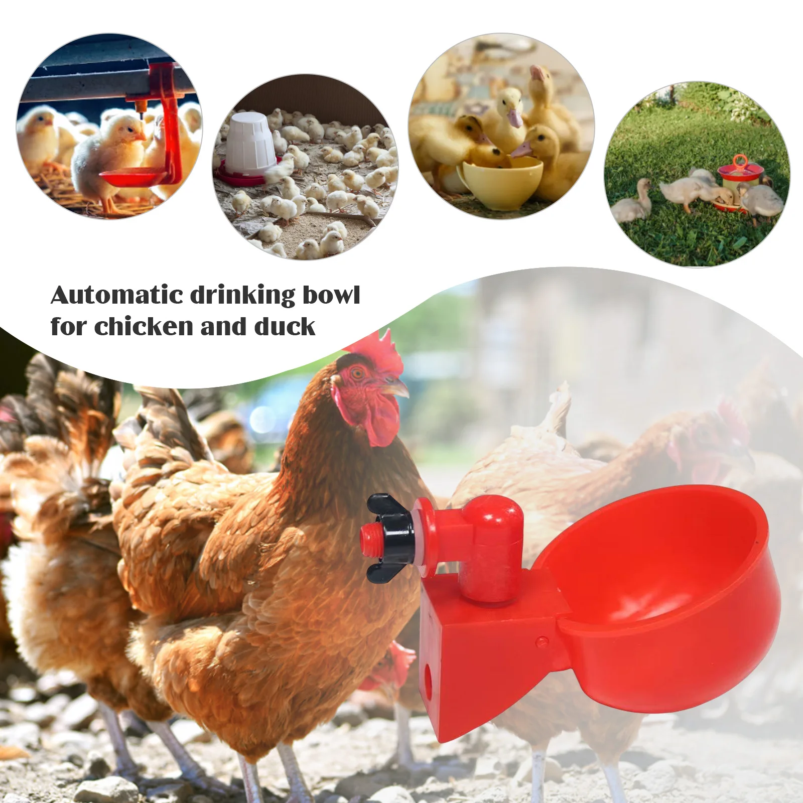 6-36Pcs Huhn Ente Trinkbecher  – Chicken Nipple Drinker Bewertung und Preis