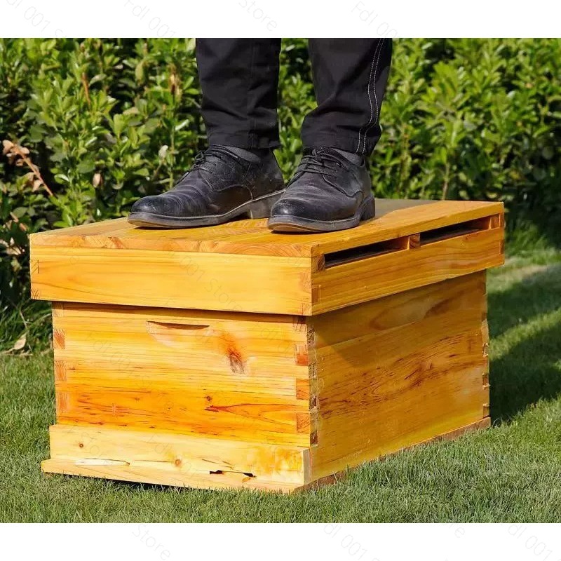 Komplettes Bienenstock-Set 10  – Beehive Frame Wax Bewertung und Preis