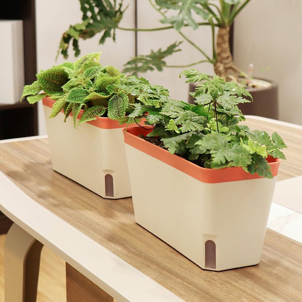 Multifunktions-Doppelschicht-B – Vegetable Transplanter Bewertung und Preis