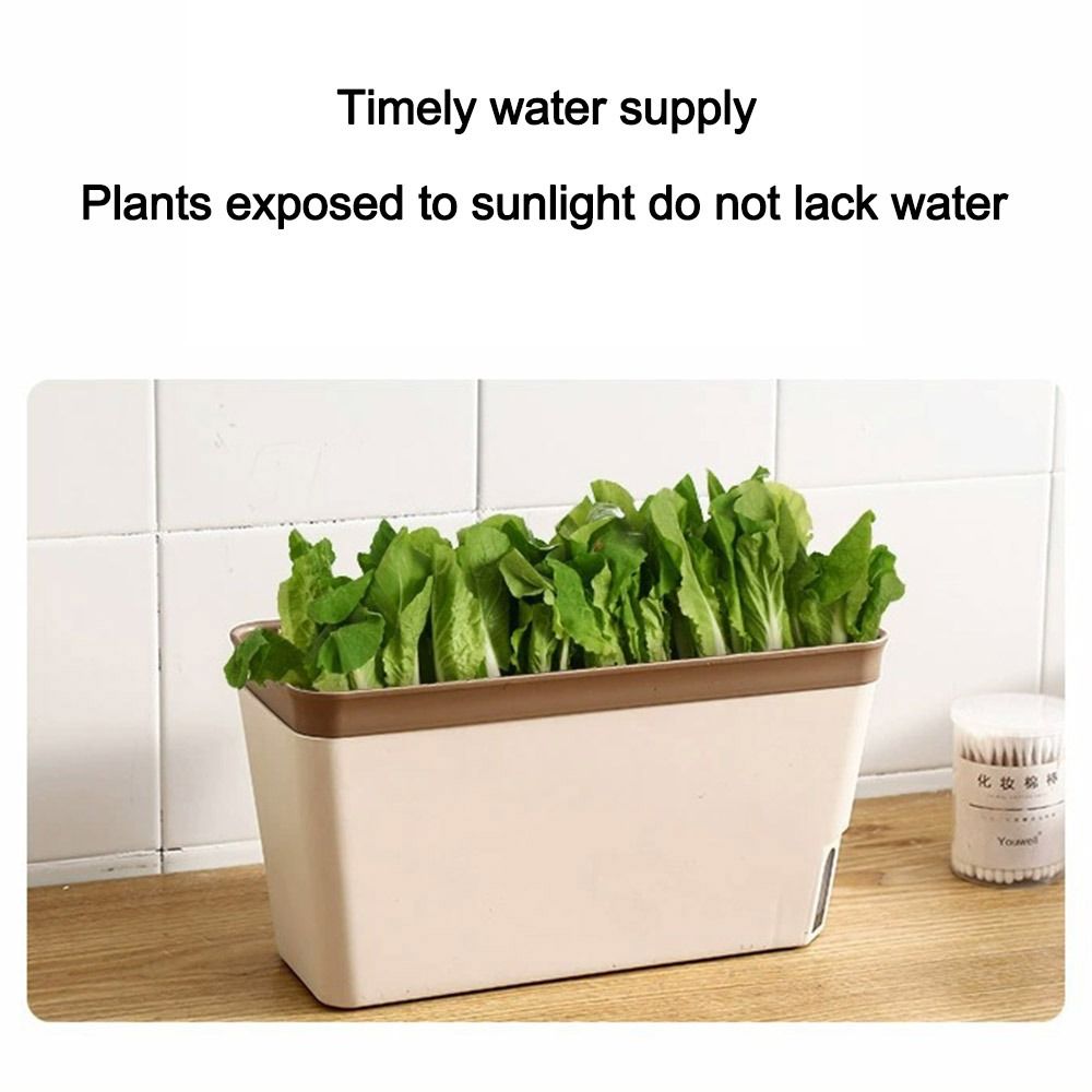 Multifunktions-Doppelschicht-B – Vegetable Transplanter Bewertung und Preis