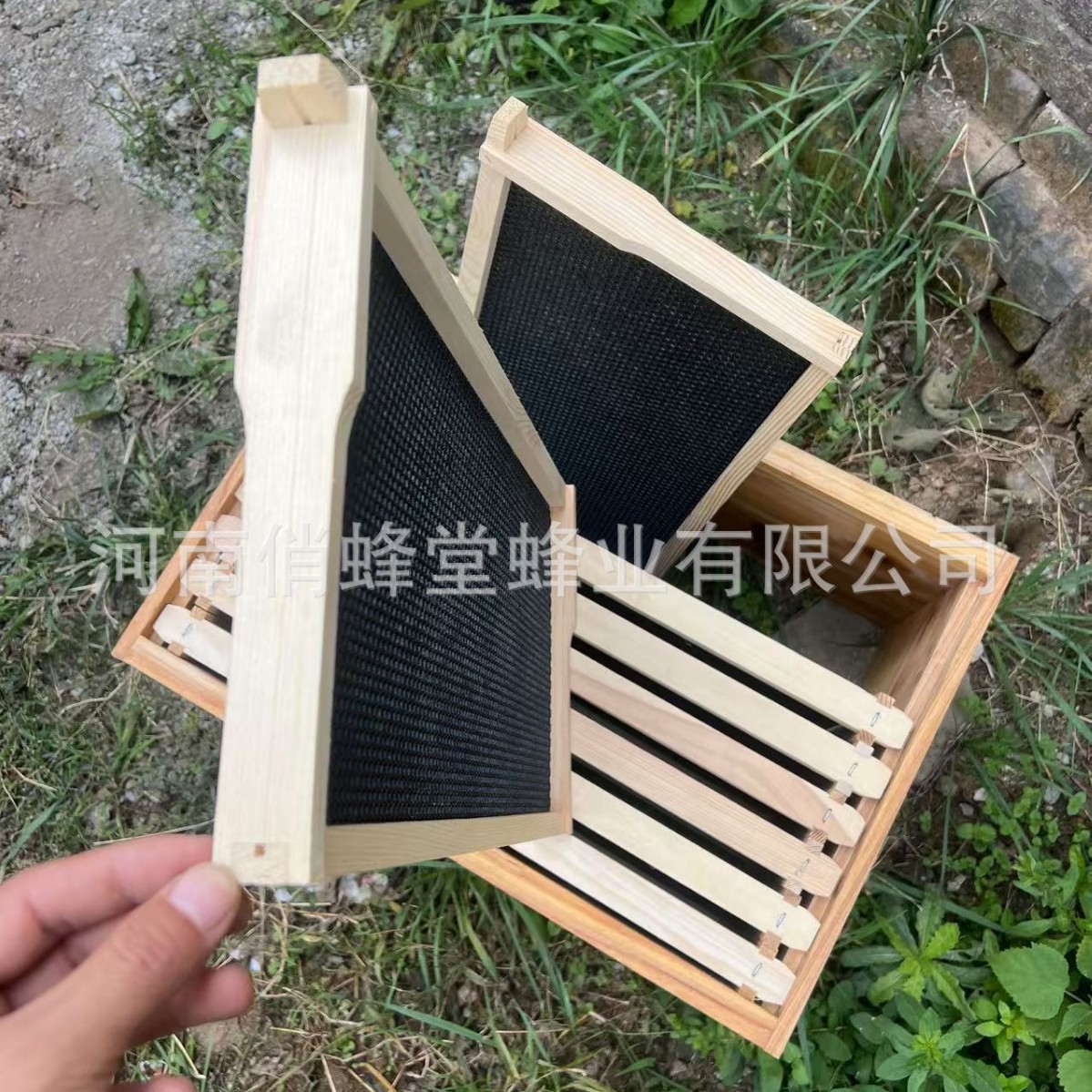 Imkerei-Werkzeuge: Erstklassig – Beehive Frame Wax Bewertung und Preis