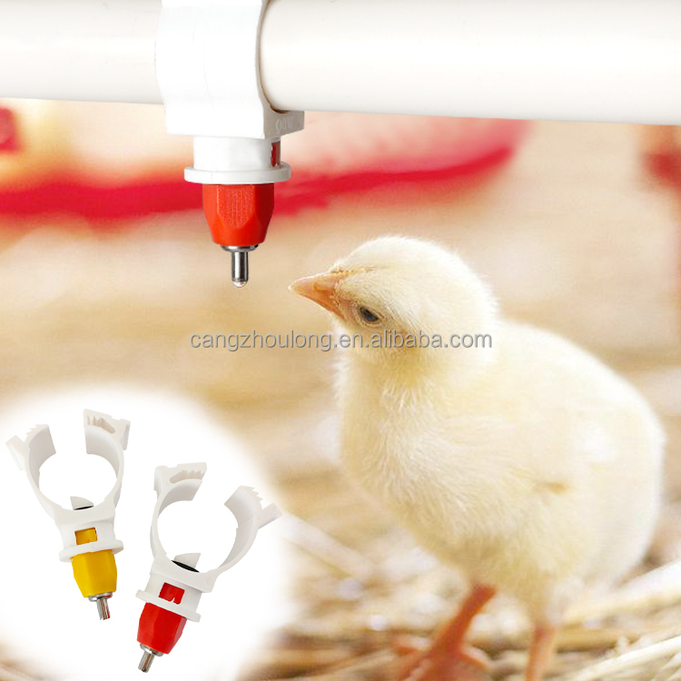 YYW LM44 Meistverkaufter Autom – Chicken Nipple Drinker Bewertung und Preis