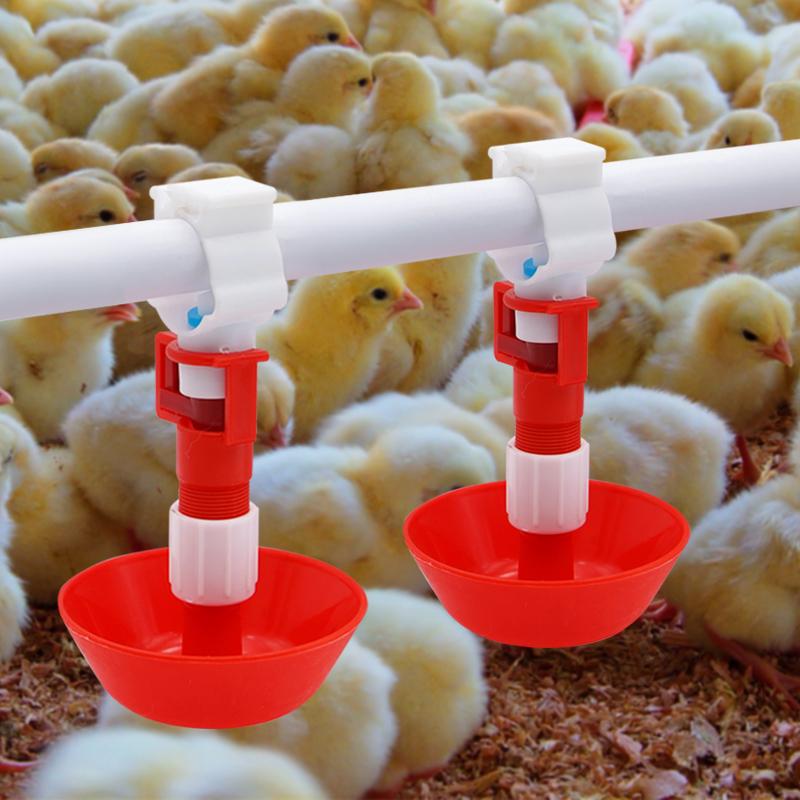 5/10/20 Pcs Automatische Huhn  – Chicken Nipple Drinker Bewertung und Preis