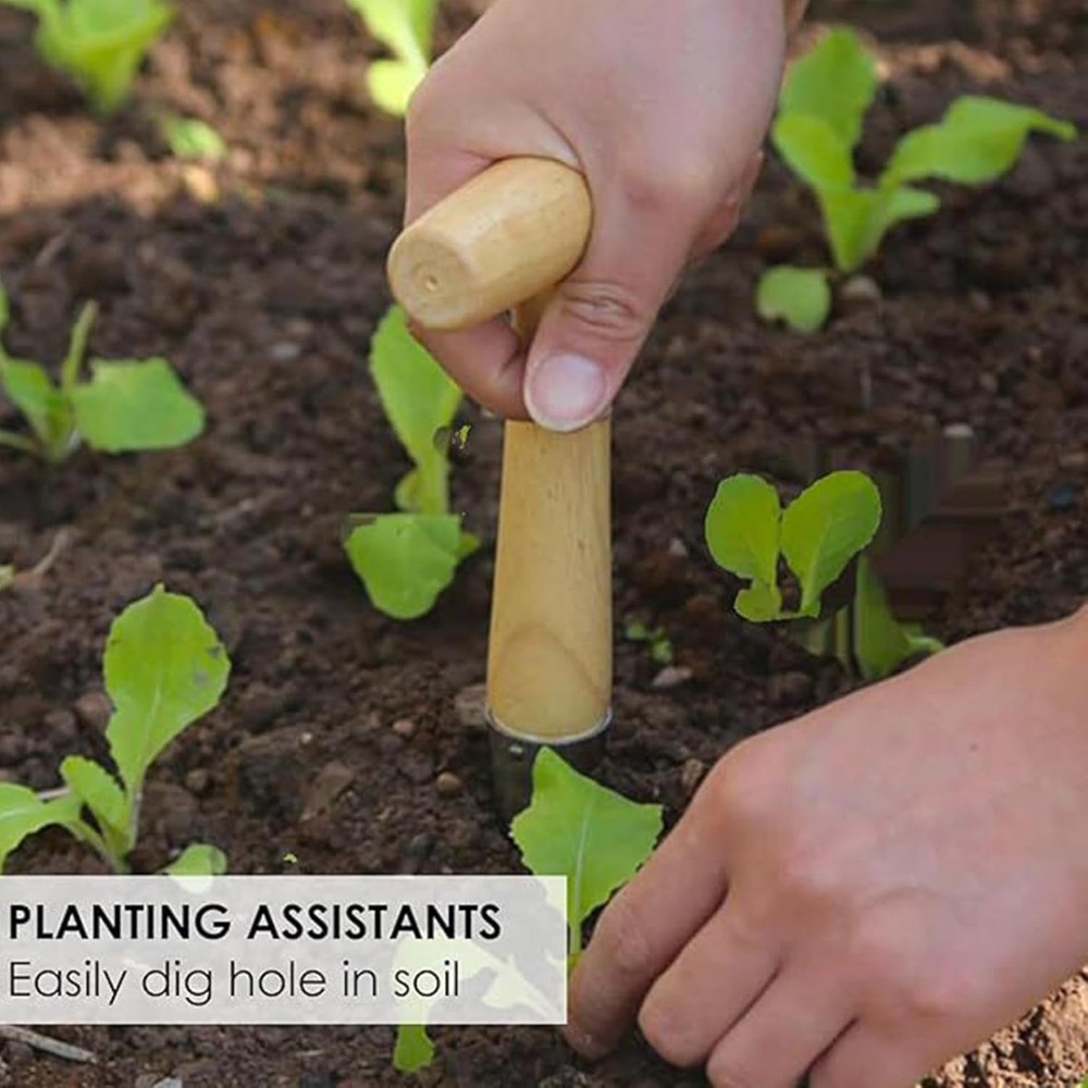 Gemüsegarten-Setzlingspflanzer – Vegetable Transplanter Bewertung und Preis