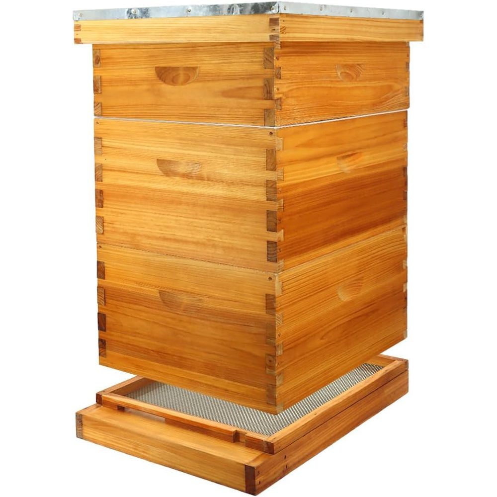 10-Rahmen-Bienenstock-Set mit  – Beehive Frame Wax Bewertung und Preis