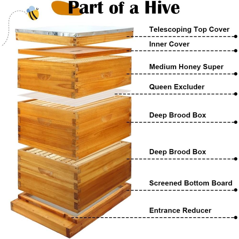 10-Rahmen-Bienenstock-Set mit  – Beehive Frame Wax Bewertung und Preis