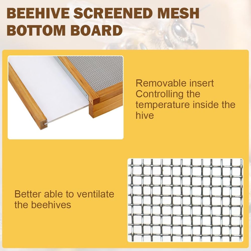10-Rahmen-Bienenstock-Set mit  – Beehive Frame Wax Bewertung und Preis