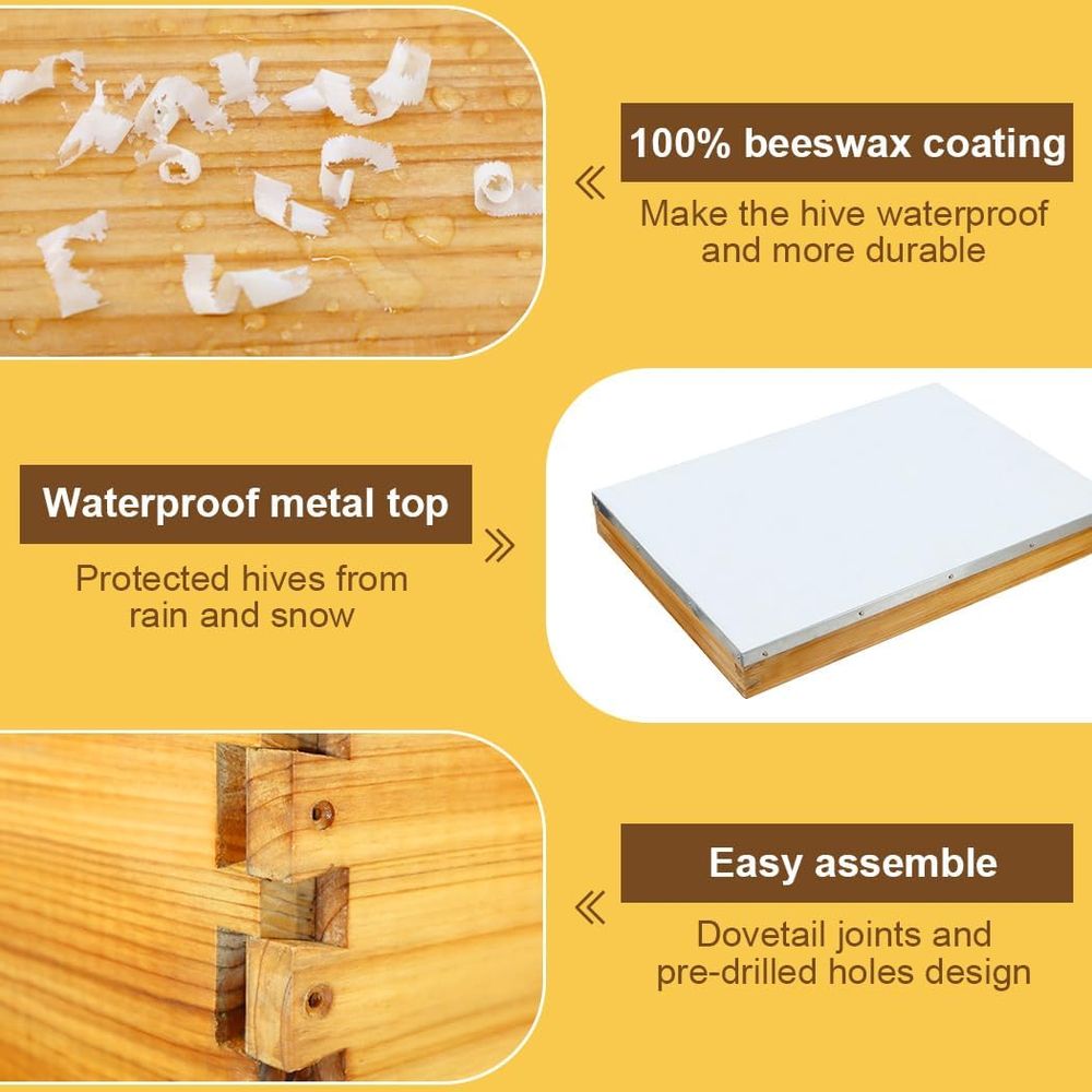 10-Rahmen-Bienenstock-Set mit  – Beehive Frame Wax Bewertung und Preis