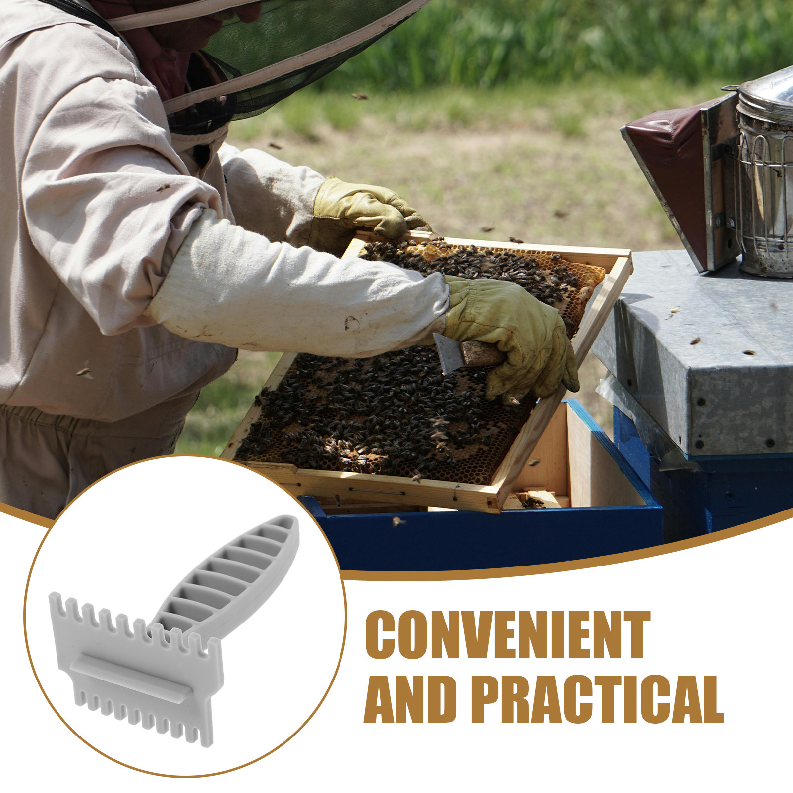 Hochwertiger Kunststoff-Bienen – Beehive Frame Wax Bewertung und Preis