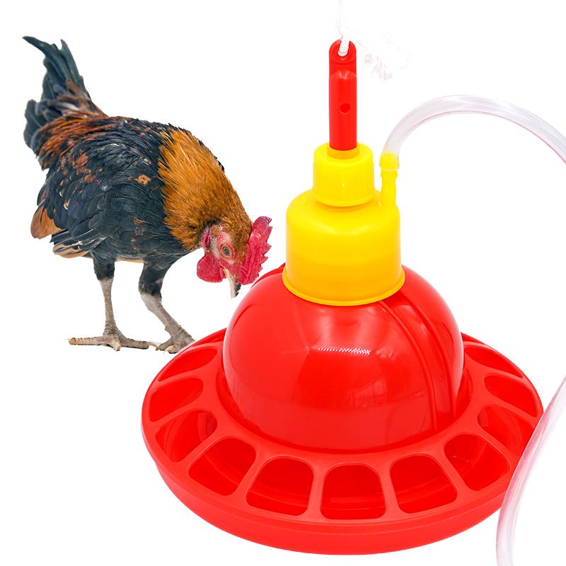 1 Set Huhn Ente Gans Broiler T – Chicken Nipple Drinker Bewertung und Preis