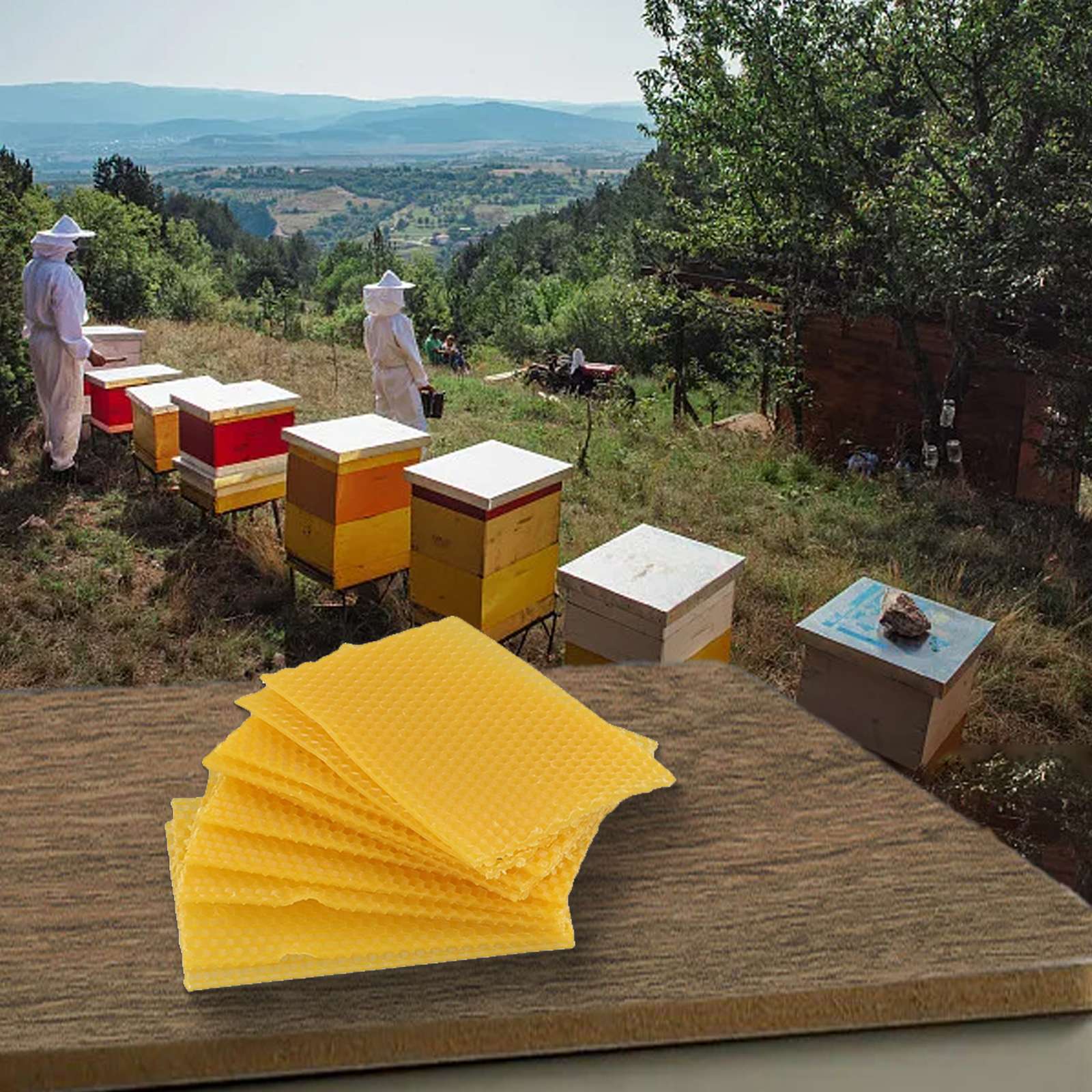 Bienenwaben-Rahmen 9cm524x Aus – Beehive Frame Wax Bewertung und Preis