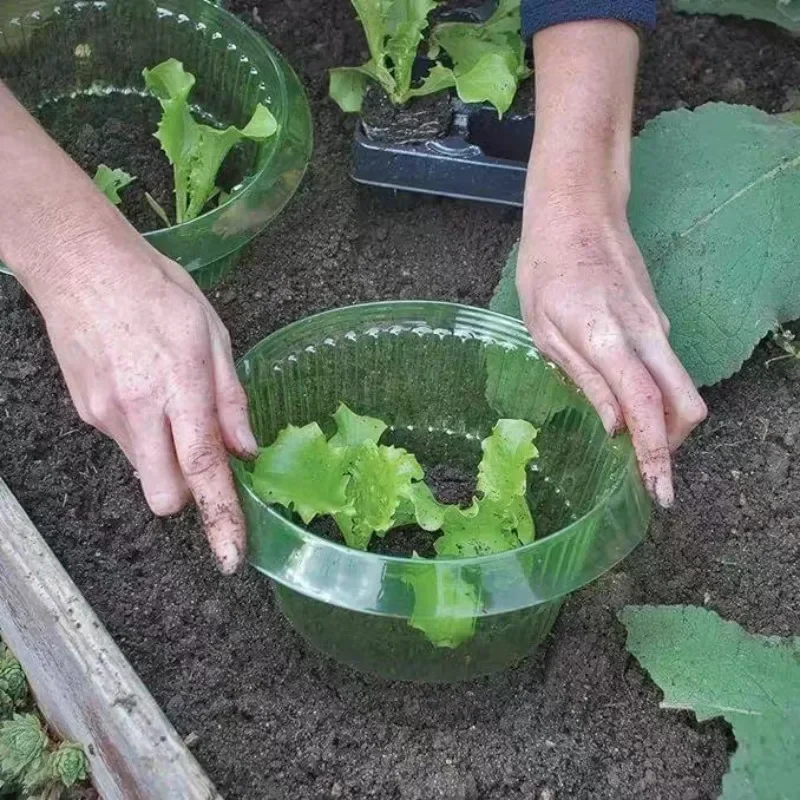 Pflanzen Slug Schutz Ringe Gem – Vegetable Transplanter Bewertung und Preis