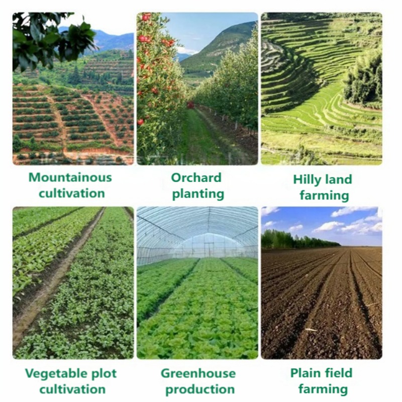 Handgeführter Gemüsesäer Mehrr – Vegetable Transplanter Bewertung und Preis