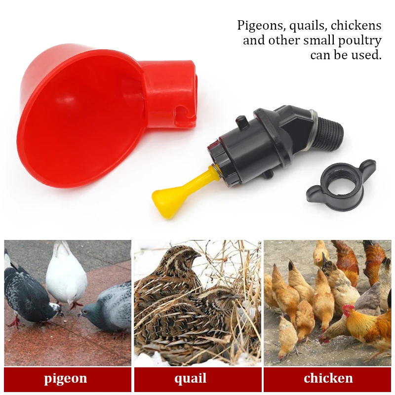 6-36 Stücke Huhn Wachtel Hänge – Chicken Nipple Drinker Bewertung und Preis