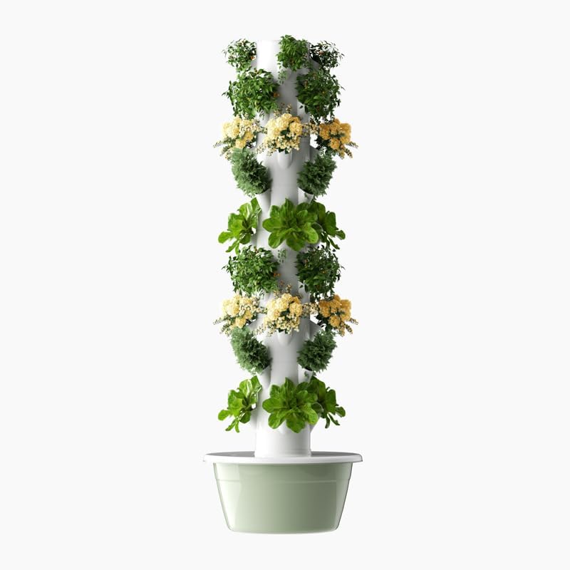 Vertikaler Hydroponischer Anba – Vegetable Transplanter Bewertung und Preis