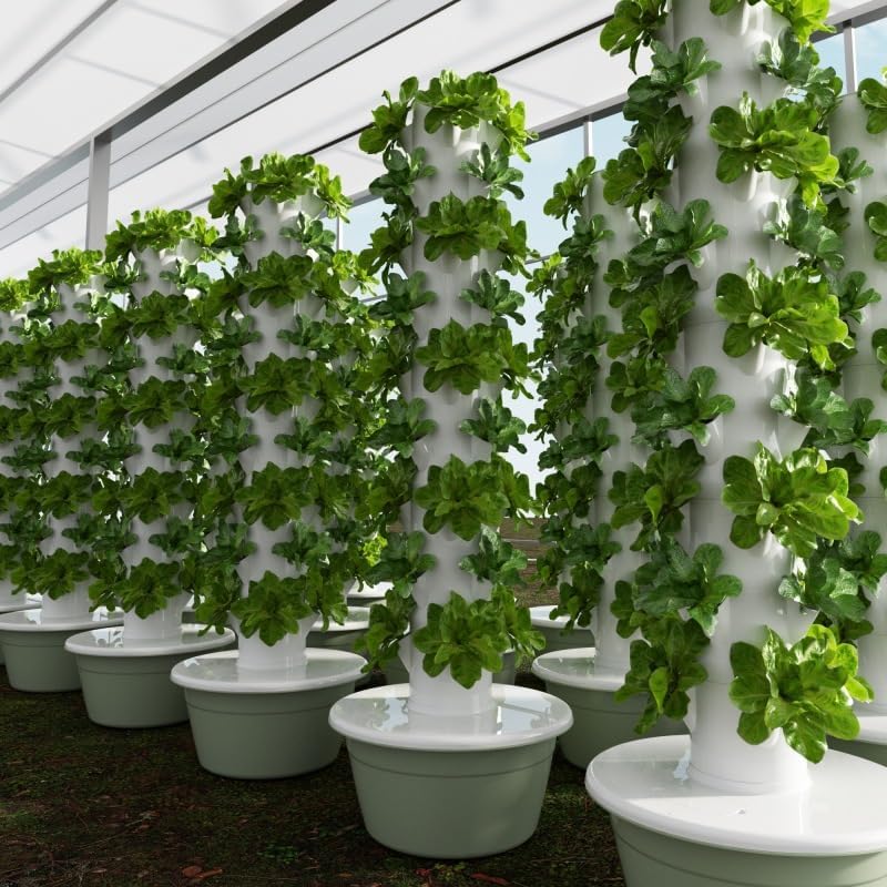 Vertikaler Hydroponischer Anba – Vegetable Transplanter Bewertung und Preis